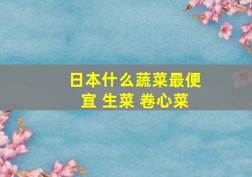 日本什么蔬菜最便宜 生菜 卷心菜